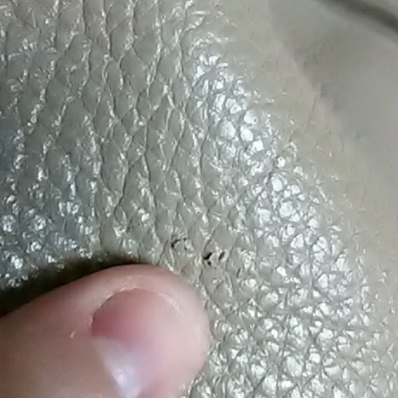 Authentic Dooney & Bourke Belvedere hobo NWT - Picture 8 of 10